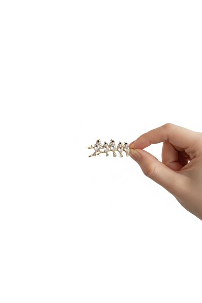 Vira Rise Kristal Taşlı Serçe Ailesi Kadın Broş Ebat:5-6*2-2,5cm