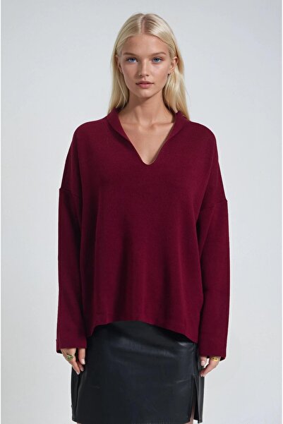 Lijuri Shawl collar detailed standard knit sweater 1422