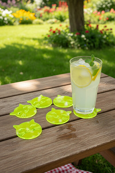 Pikas 6'lı Renkli Kirpikli Kedi Figürlü Çok Amaçlı Pleksi Daire