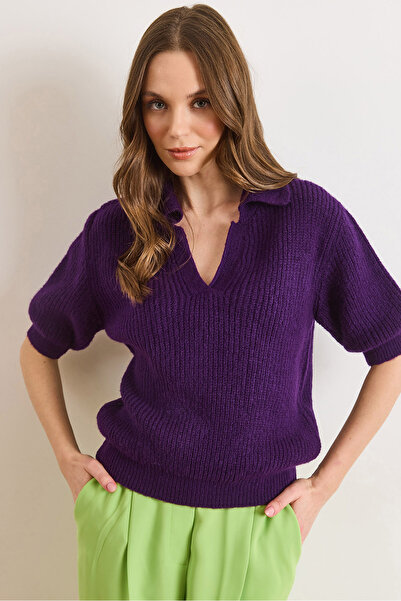 Olalook Women's Purple Polo Collar Soft Textured Crop Knit Sweater Kzk-19001155