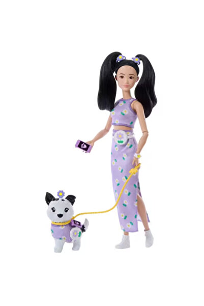 mattel Barbie Uyumlu Dostlar Siyah Saçlı Bebek ve Köpekçiği JFP39