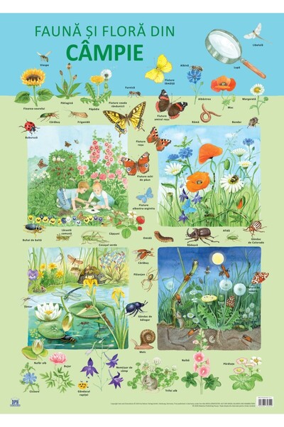 Editura DPH Plansa - Fauna si flora din campie