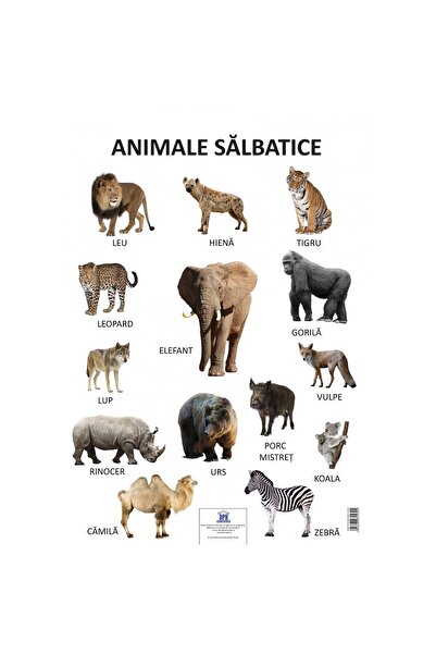 Editura DPH Plansa - Animale salbatice