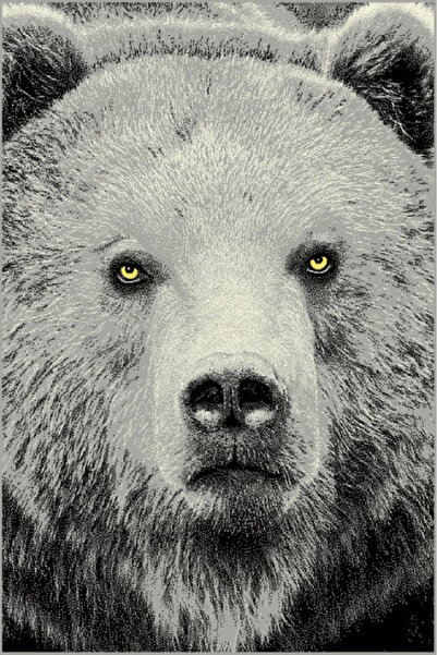 Talis Covor Modern Kolibri Urs, 160x230 cm,