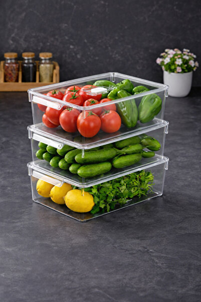 MİS KİTCHEN 3 Pcs XXL Size Ventilated Refrigerator Organizer Storage Containe...