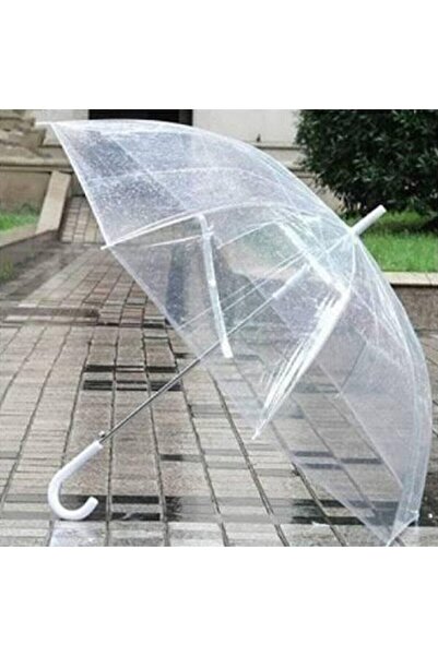 Saule Şefaf Rüzgarda Kırılmayan Şemsiye