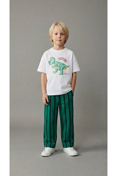 Pufiko Kids Dinosaur Printed Striped Bottoms Boys' Set