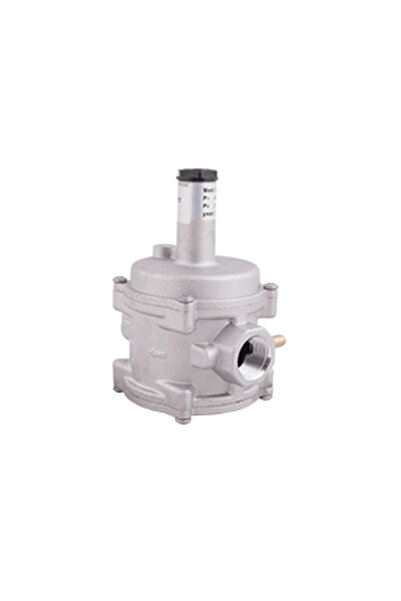 Conter Gas Regulator Filter 3/4"