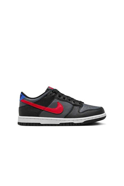 Nike Dunk Low Retro Unisex Sneaker Fv0373 001