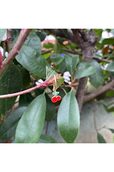 DİLEK KUYUMCULUK Kiraz çocuk altın küpe