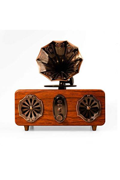 OEM Bluetooth radio speaker Ashu AS36, 2x5W, 1800mAh, Brown