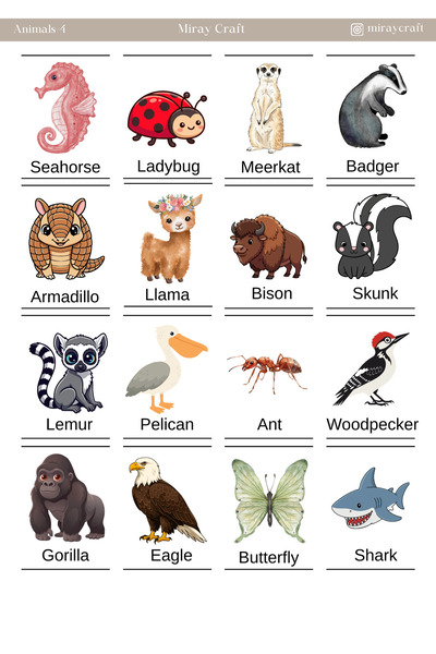 MirayDesign 1 Sheet of English Discovery with Stickers – Educational Sticker ...