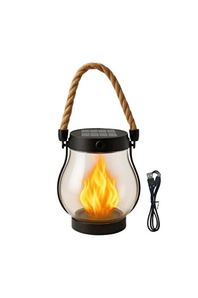 Choice كما هو موضح، فانوس شمسي خارجي مقاوم للماء، مصباح لهب متذبذب، قابل لإعا...