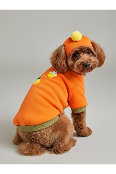 Kemique طقم سويت شيرت من الصوف للكلاب بتصميم الأناناس والآيس كريم والبرتقالي ...