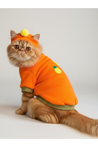 Kemique طقم سترة وقبعة من الصوف بتصميم الأناناس والآيس كريم والبرتقالي الكاكي...