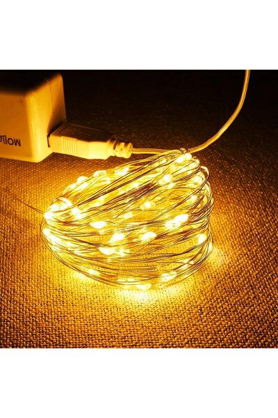Choice سلسلة إضاءة LED بيضاء دافئة USB بطول 10 أمتار و100 لومن، سلك فضي بطول ...