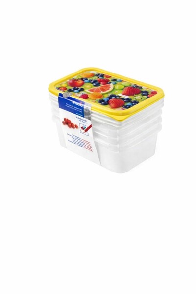 Rothoplast Set of 4 plastic boxes, 0.5L – practical and versatile