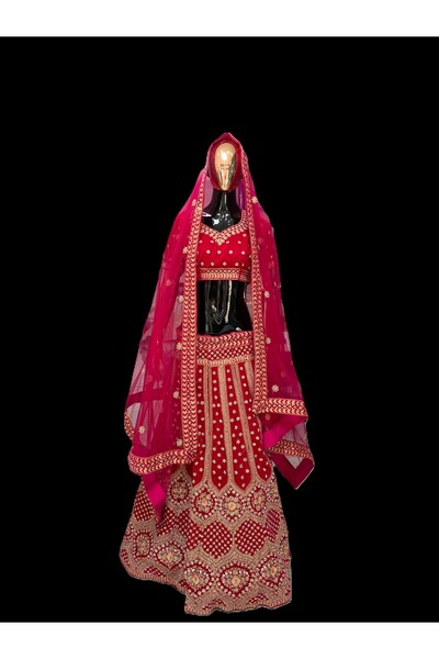 Aashiv's Collection ليهينغا
