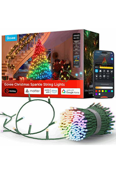 Govee LED Christmas Light 20m