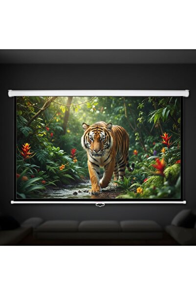 gaman Duvara & Tavana Asılabilir Projeksiyon Perdesi -Ev Sineması,Ofis Kullan...