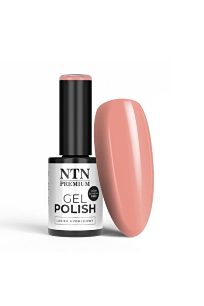 NTN Semi-Permanent Nail Polish 461 Limited Edition Hema Free