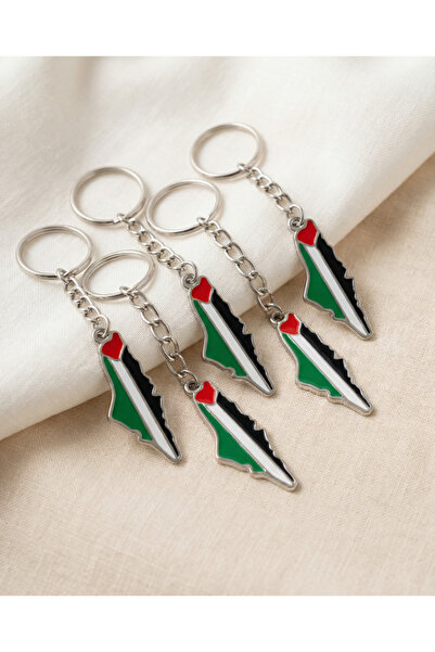 Zaytoon 5-Piece Palestine Colorful Map Keychain Unisex A300013-05