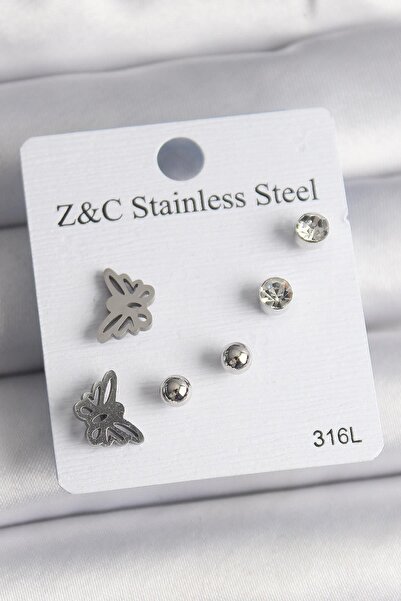 Ebijuteri 316L الصلب الفضة اللون الزركون حجر الفراشة نموذج المرأة مجموعة الأقراط