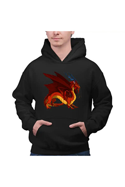 OEM Ανδρικό Hoodie Avatar Dragon Fang Roku Anime Airbender