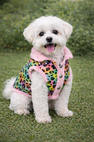 Lokums Leopard Patterned Pink Plush Dog Vest - Dog Clothing