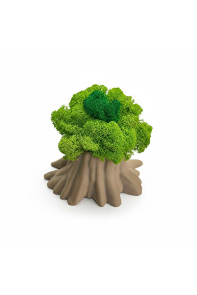 Eventissimi Decorare cu licheni stabilizați în ghiveci imprimat 3D – Decor mo...