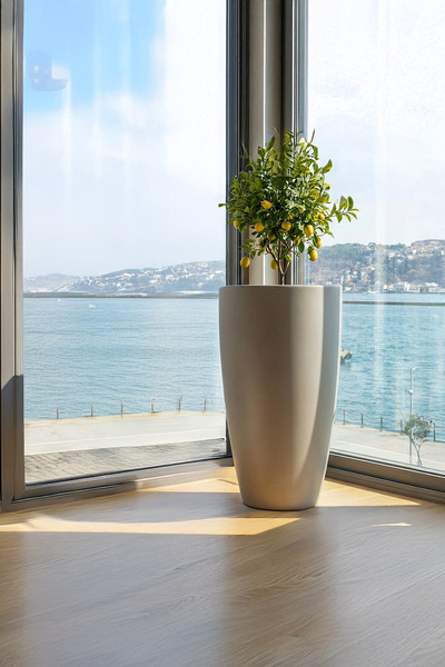 DEQQU Aura Curva 75x42cm Kıvrımlı Konik Fiberglass Saksı Büyük Boy İç Dış Mek...