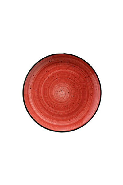 Viejo Valle Flat plate 270 mm – Gourmet Passion porcelain – Be Our Guest HoReCa