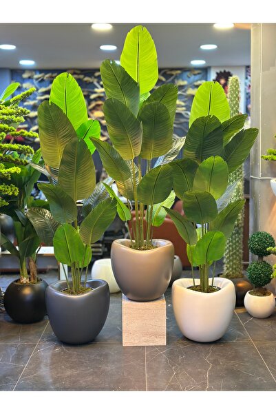 Adayapaycicek YIRTIK YAPRAKLI STARLİCE 200 CM 12 YAPRAK