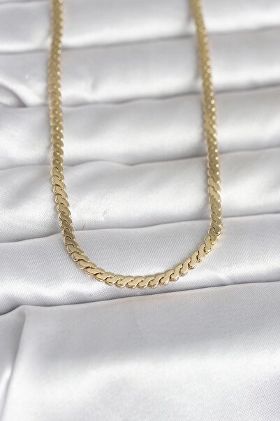 Lisinya CM 14K Gold Renk Yassı Ezme Zincir Model 60 cm Kadın Kolye - LSNTKN-R...
