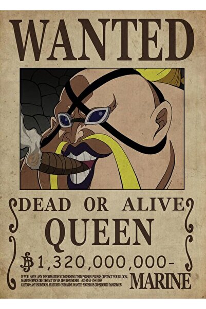 512 STORE One Piece Wanted Poster Çerçevesiz Kuşe Kağıt Poster Anime Serisi F...
