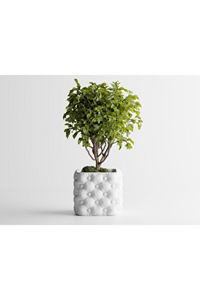 Sani Vază „Chesterra MICĂ” 110 x110 x Î95mm - Albă