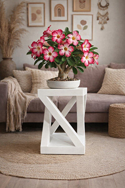 ALTINOLUK İNCİ AHŞAP Wooden Cobalt I Coaster