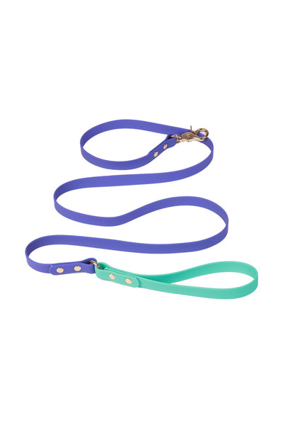 PAKEWAY حزام مشي للكلاب بتصميم خاص مقاوم للماء بلونين