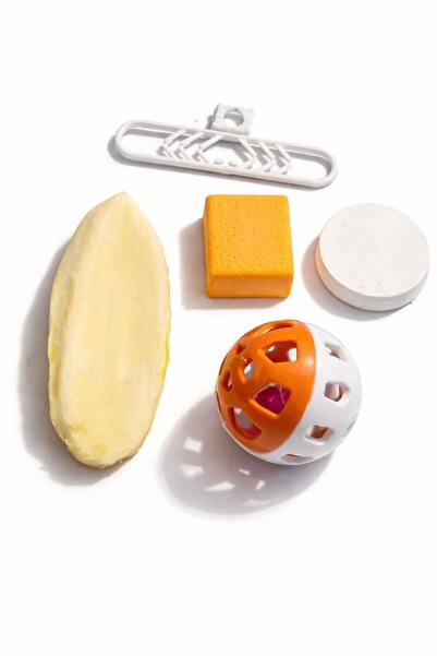 Papağanhane مجموعة موبت كوش مكونة من 5 قطع: عظم الحبار + مقبض + كتلة كالسيوم ...