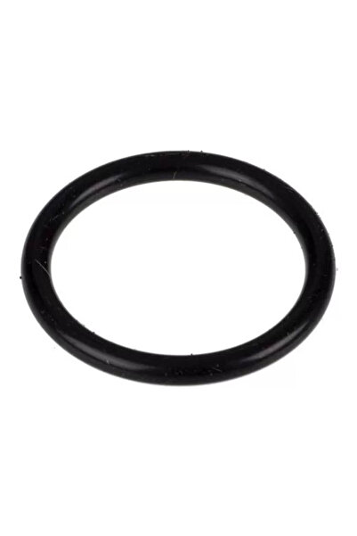 e-SWC Silicone O-ring e-SWC® for DeLonghi espresso infuser, 1 pc, equivalent ...