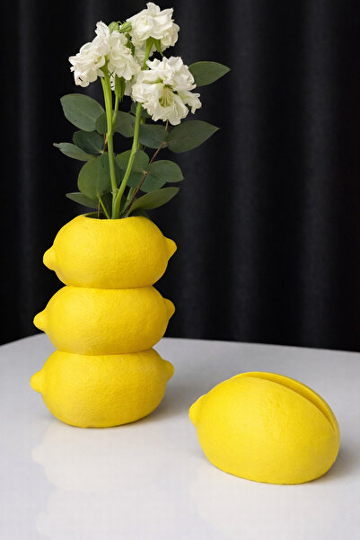 3D FABRİKAM Lemon Chic Tasarım Vazo