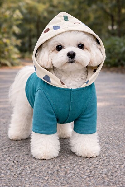 Berliva Home Premium Hooded Dog Sweatshirt – Stylish and Comfortable Design f...