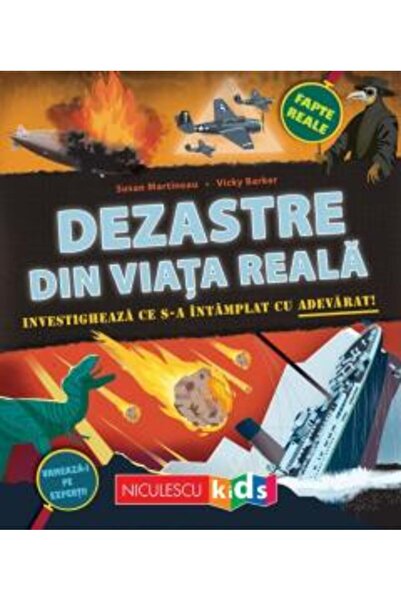 Niculescu Real-Life Disasters: Investigate What Really Happened, Susan Martin...