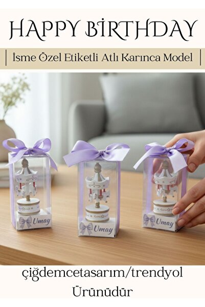 çiğdemcetasarım 10 Adet İsme Özel Kurdeleli Kutulu Atlı Karınca