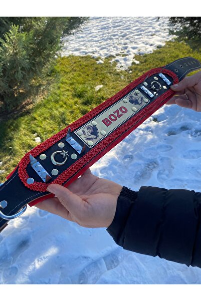 Sürmeli Tasma İsteğinize Özel İsimli Kangal Çoban Köpek Tasması Zilsiz Dikenl...