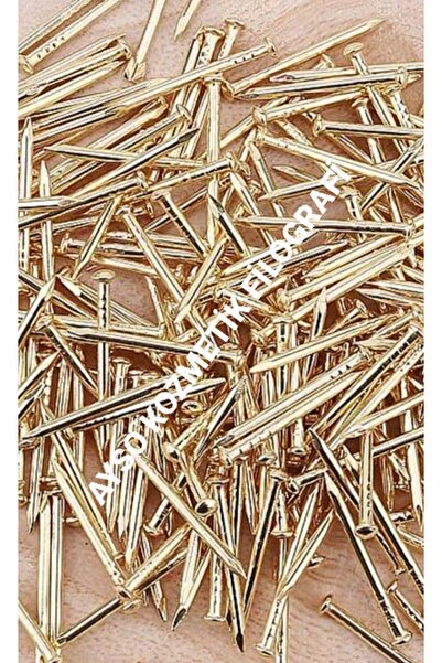 ayso kozmetik SARI RENKLİ TOPBAŞLI FİLOGRAFİ ÇİVİSİ 500 GR