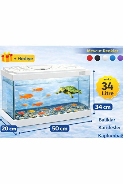 AQUA ROYAL PETSHOP 50cm 34 Litre Beyaz Kapaklı Cam Akvaryum + Hediye Seramik ...