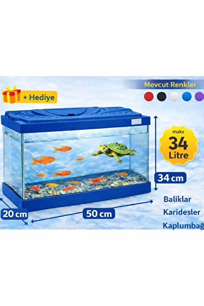 AQUA ROYAL PETSHOP 50cm 34 Litre Mavi Kapaklı Cam Akvaryum + Hediye Seramik D...