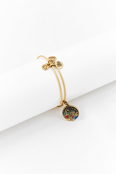 Alex and Ani سوار نسائي من أوتاوا تشارم رافايليان، ذهبي اللون