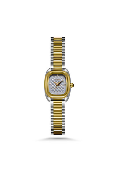 catera Women's steel watch, Caterra, silver and gold, gray dial